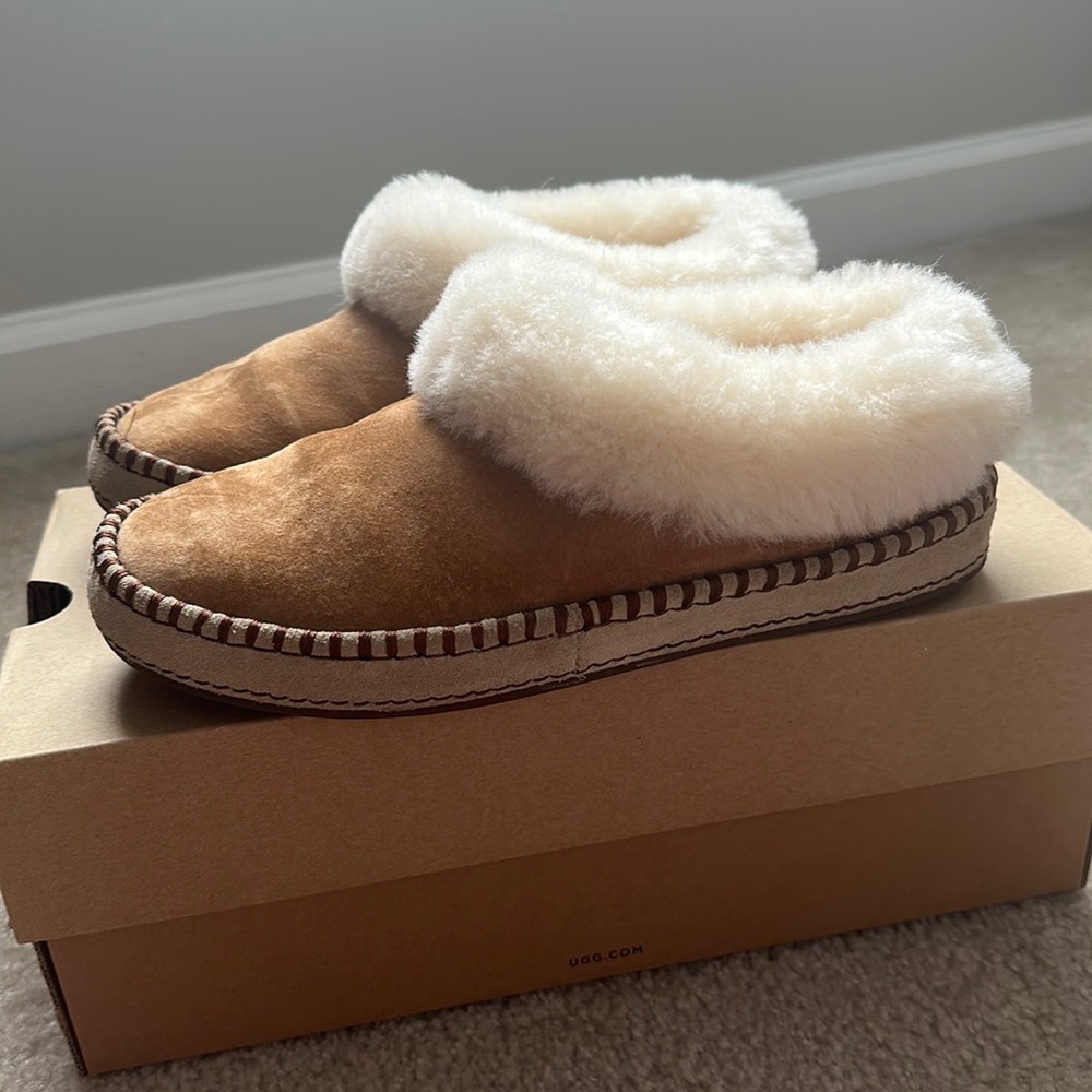 Ugg Shoes
